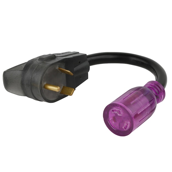 Reliance Controls Plug Adapter, SJTW, TT-30R, L5-20, 12 in, Black/Purple ACRV22 - main